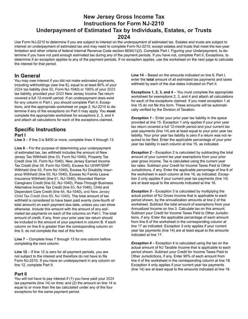 Large thumbnail of Form NJ-2210 - 2024