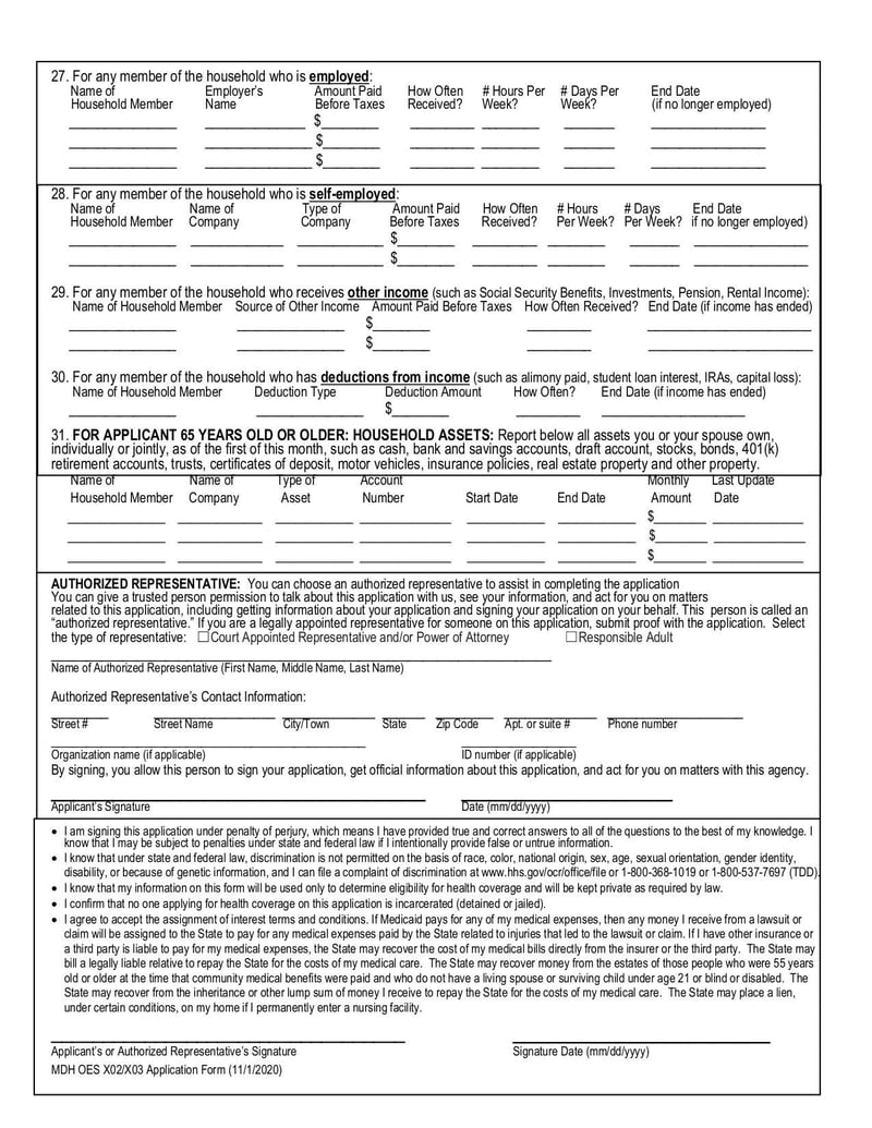 Large thumbnail of MDH OES X02/X03 Application Form - Nov 2020
