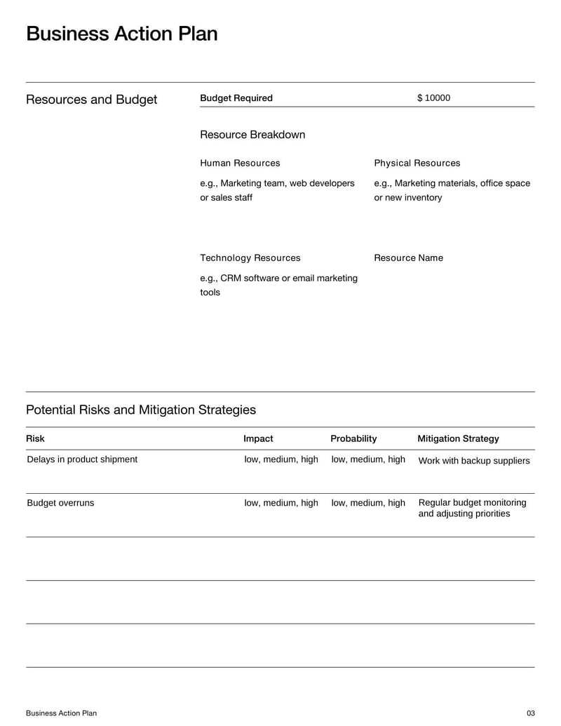 Business Action Plan Template for outlining steps to achieve business objectives