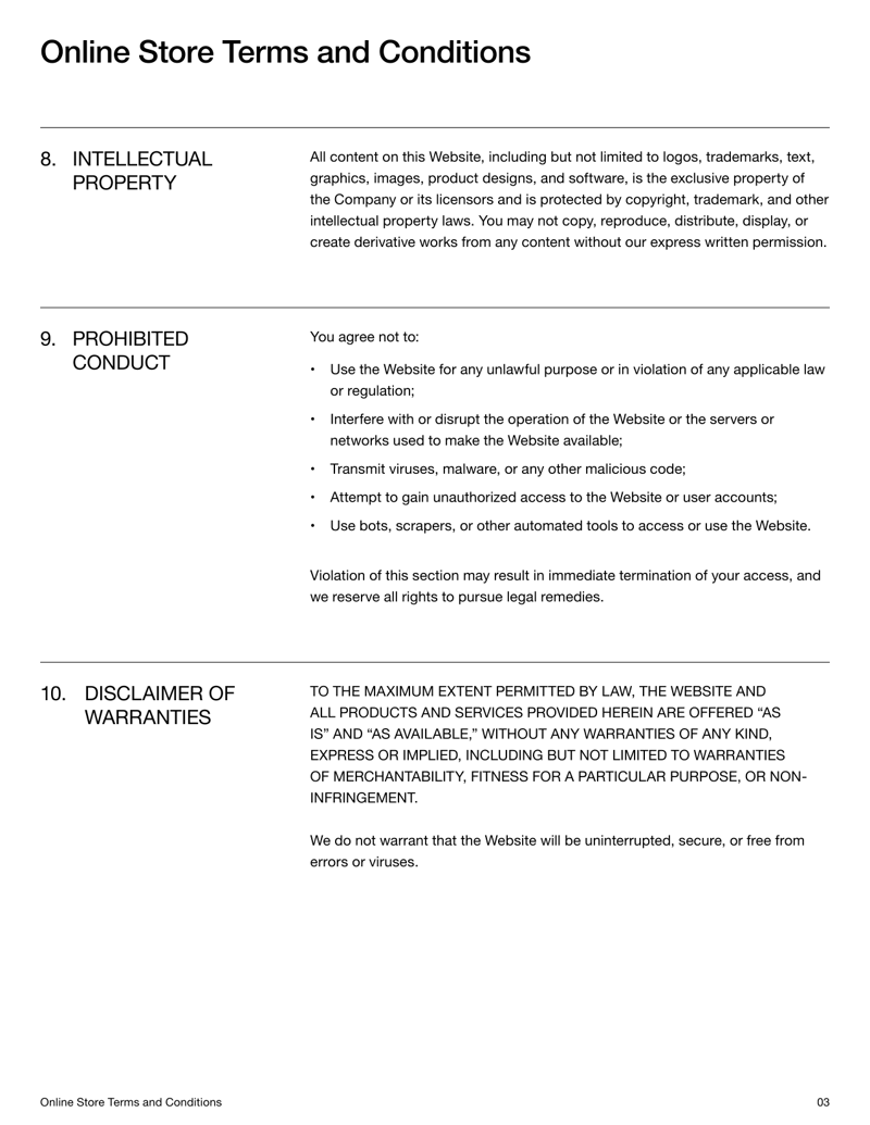 Online Store Terms and Conditions covering purchase terms, payment and dispute resolution