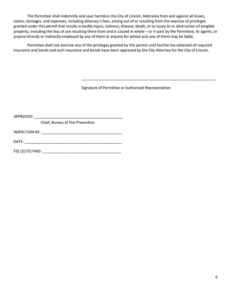 Large thumbnail of Application for Public Display of Fireworks - Jun 2019