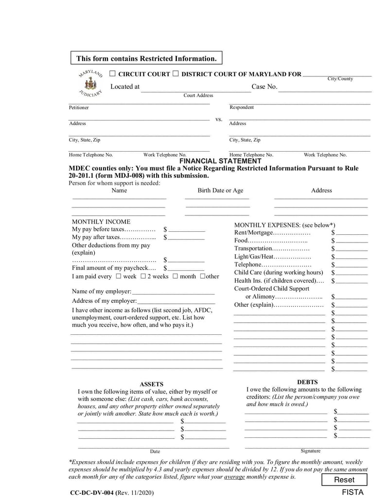 Large thumbnail of Financial Statement (Form CC-DC-DV-004) - Nov 2020