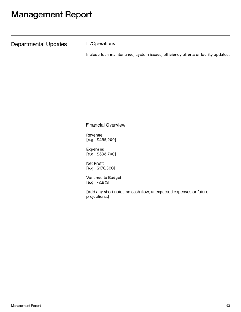 Management Report for summarizing business metrics, financials and departmental updates