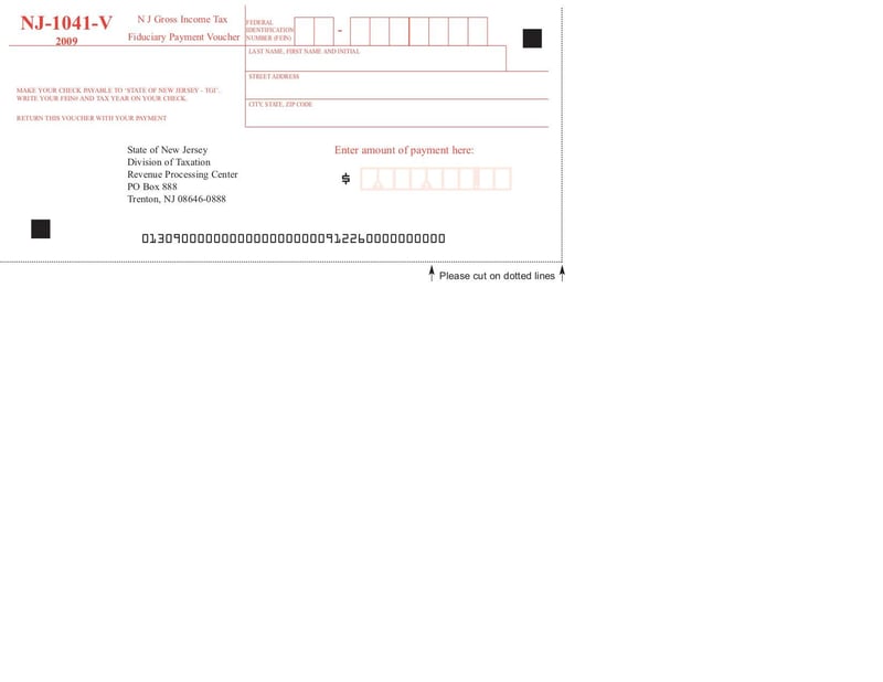 Large thumbnail of Form NJ-1041-V - Jan 2010
