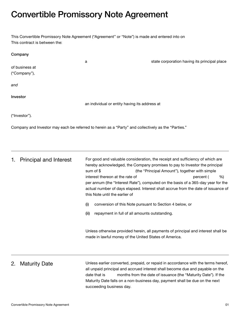 Convertible Note Agreement detailing loan conversion, maturity and financing terms