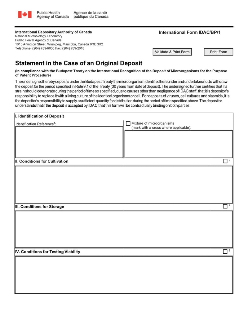 Large thumbnail of International Form IDAC BP1 - Feb 2018