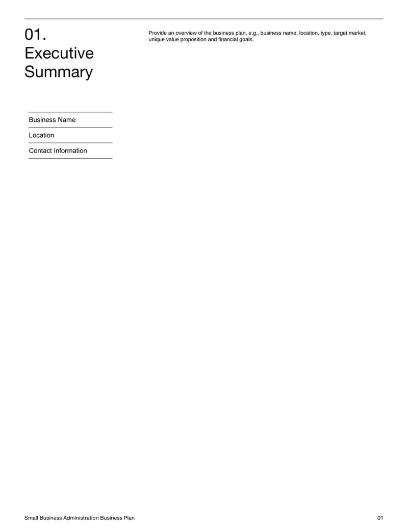 Small Business Administration Business Plan for applying for SBA loans and laying out a small business structure