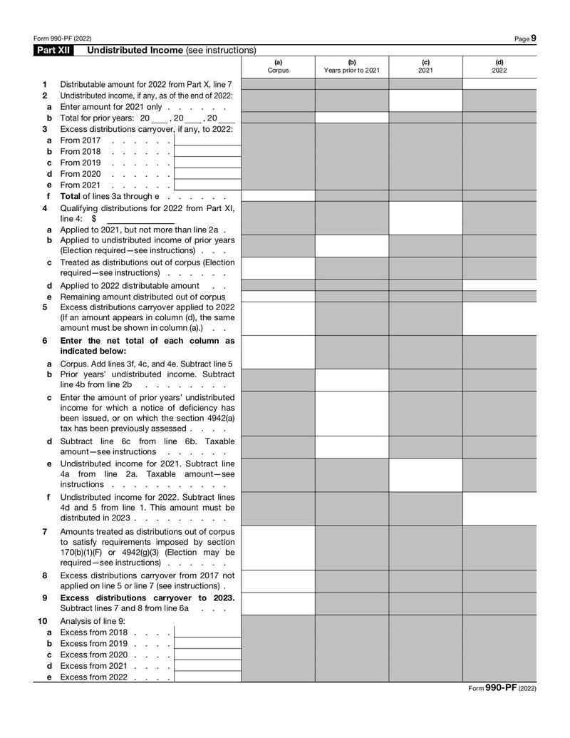 Large thumbnail of Form 990-PF - Dec 2022