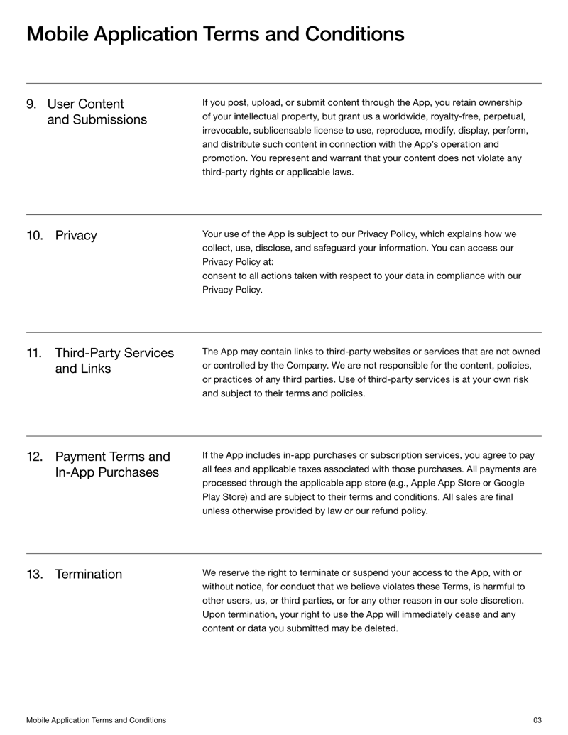 Mobile App Terms and Conditions setting app usage terms, privacy rules and user responsibilities