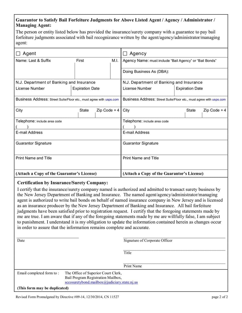 Large thumbnail of Form CN 11527 - Aug 2015