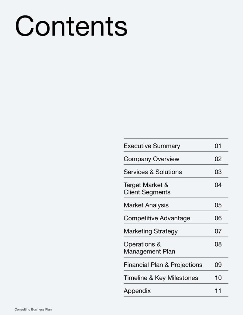 Consulting Business Plan Template for planning a consulting firm's services and operations