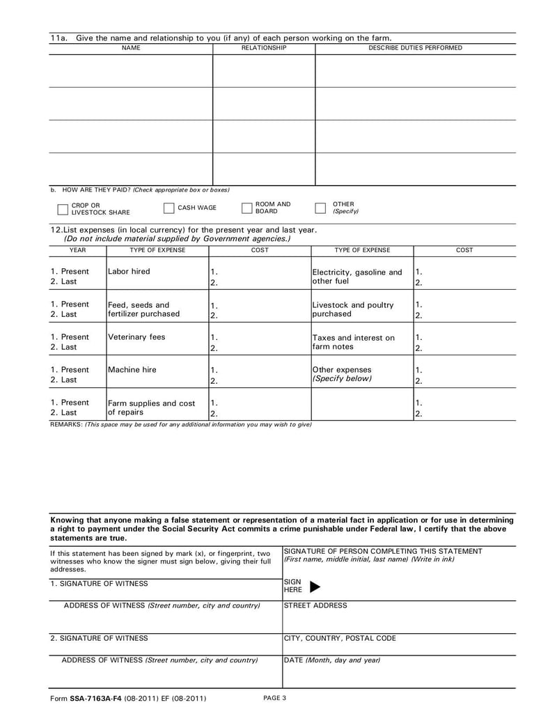 Large thumbnail of Form SSA-7163 - Aug 2011