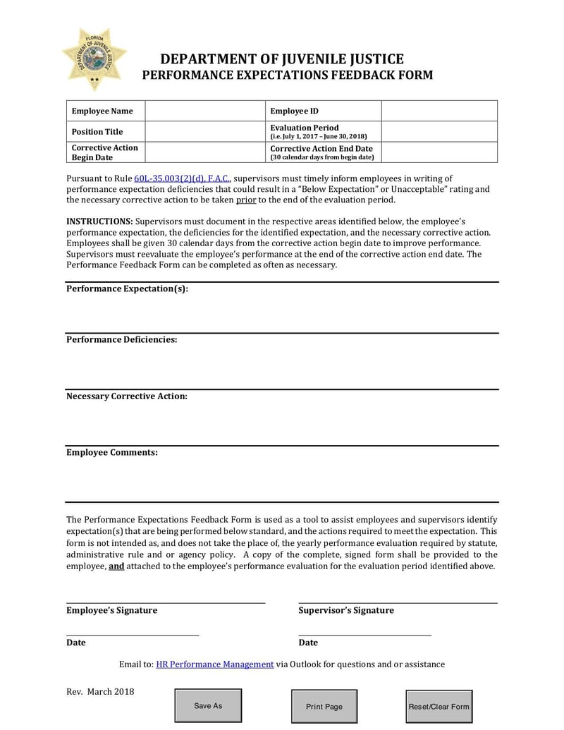 Large thumbnail of Department of Juvenile Justice Performance Expectations Feedback Form - Mar 2018