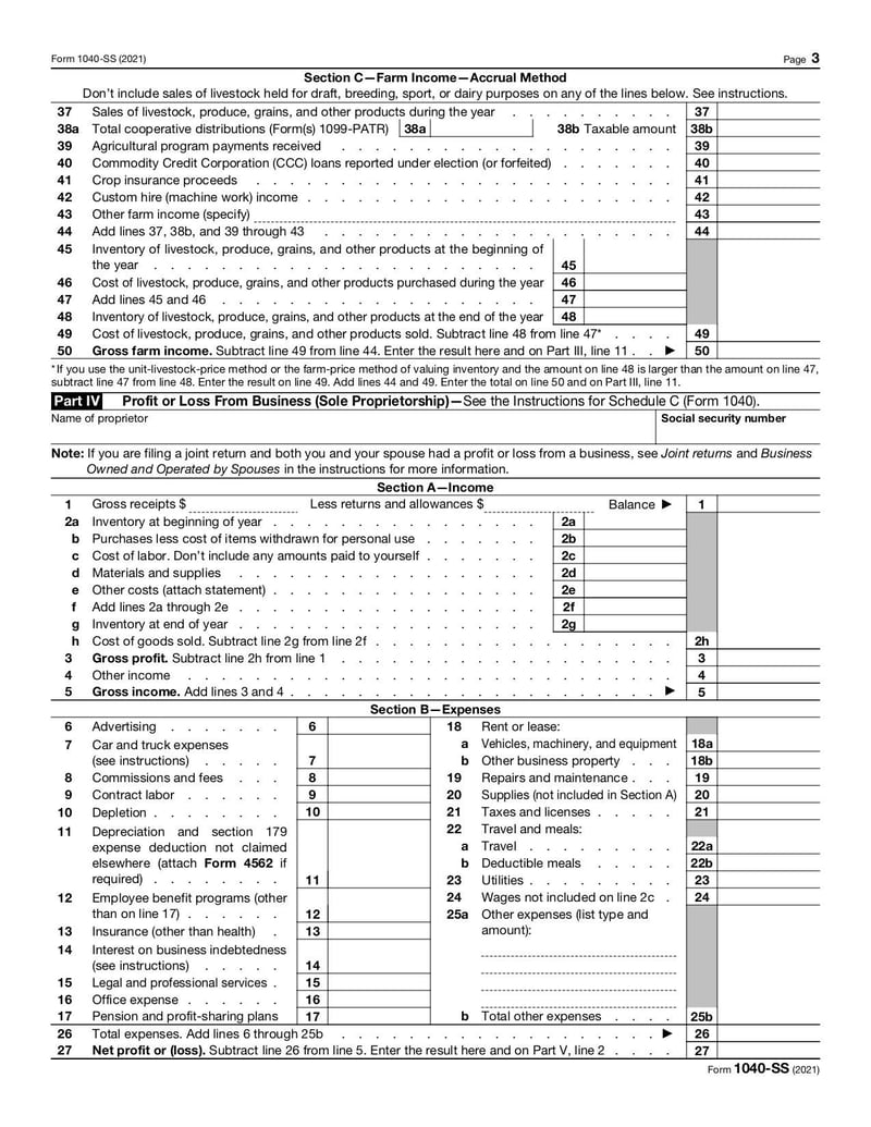 Large thumbnail of Form 1040-SS - Jan 2022