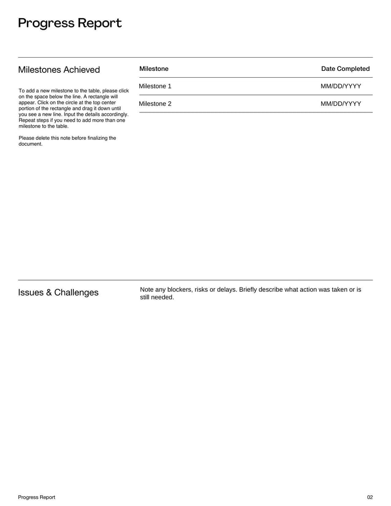 Progress Report for summarizing achievements and performance over a set period