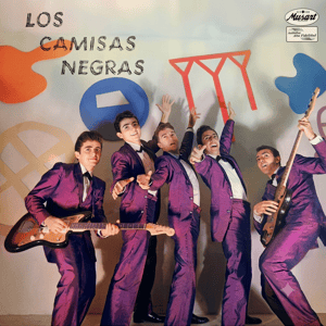 Carátula: Los Camisas Negras