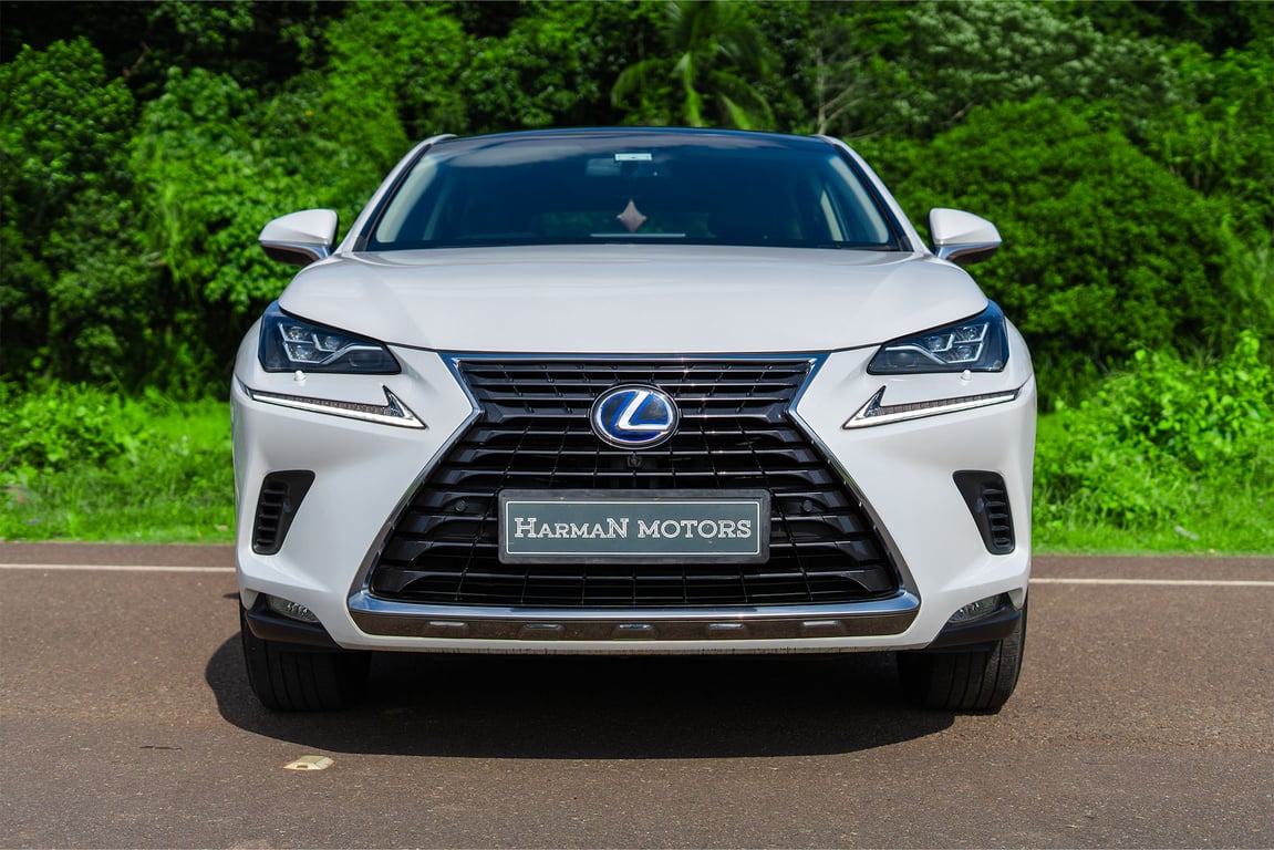 Toyota LEXUS NX300H (LUXURY GRADE)