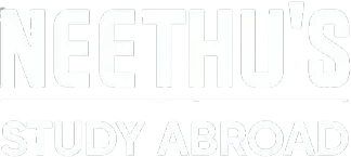 Neethus website designed by Esight Solutions, a web designing company in Chennai