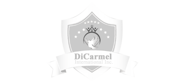 D-carmel website designed by Esight Solutions, a web designing company in Chennai