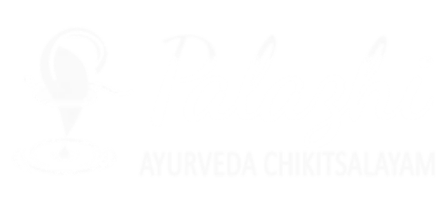 Palazhi ayurvedha website designed by Esight Solutions, a web designing company in Chennai