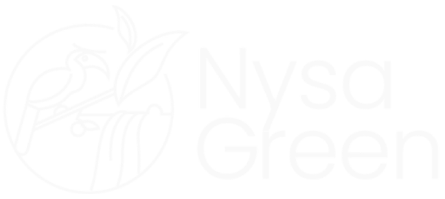 Nysa green website designed by Esight Solutions, a web designing company in Chennai