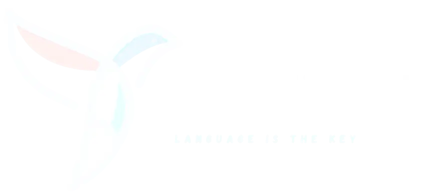 Chatery website designed by Esight Solutions, a web designing company in Chennai
