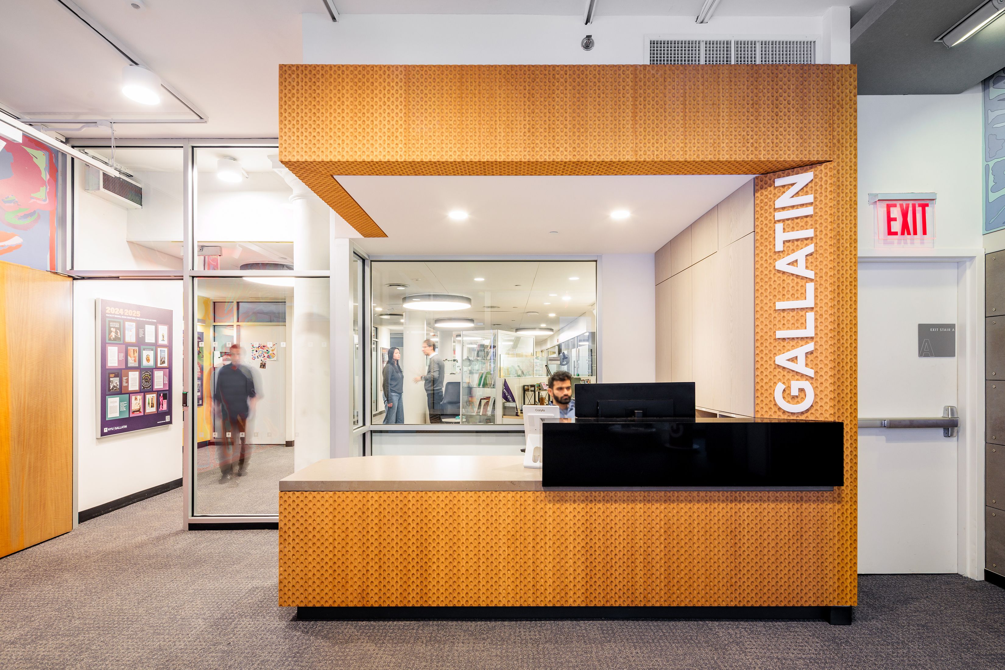 Gallatin School Of Individualized Study 