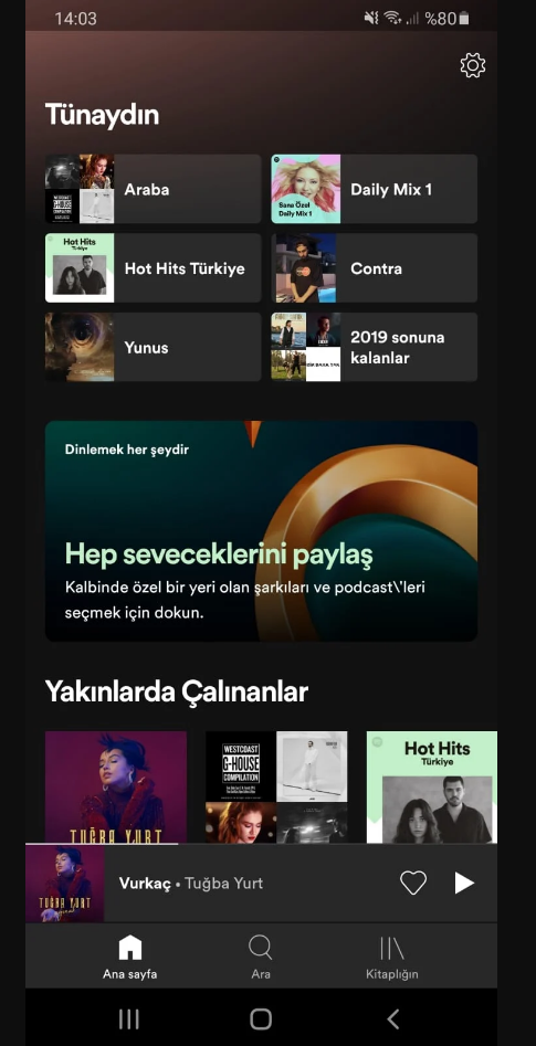 Spotify'ın yeni özelliği "Hep Seveceklerim" kullanıma sunuldu 67