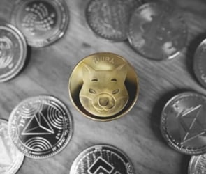 SHIB Binance'te Patladı: Yakında Dogecoin'i geçebilir