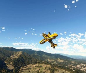 fligh