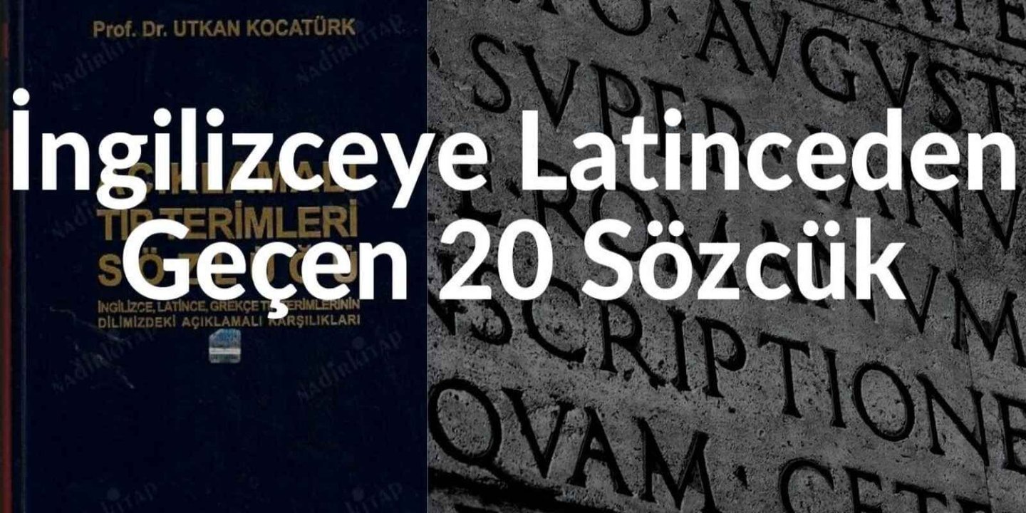 İngilizceye Latinceden Geçen 20 Sözcük 65 İngilizceye Latinceden Geçen 20 Sözcük