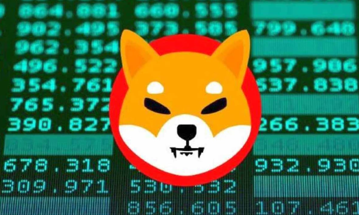DOGE katili SHIB rekor üzerine rekor kırıyor! 65