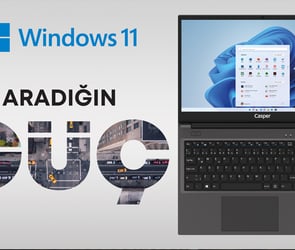win11 2