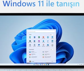 win11