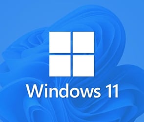 win11