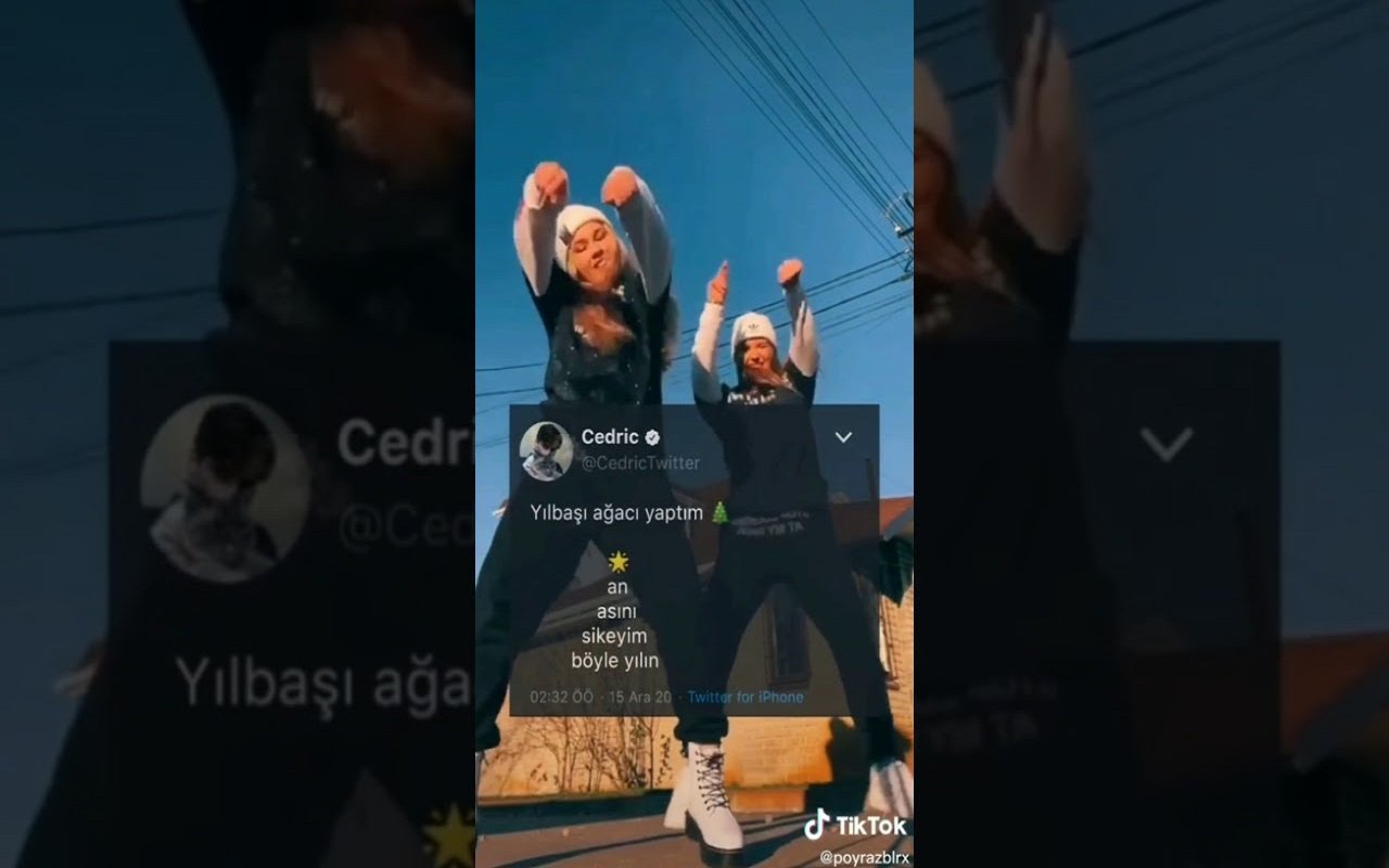 Twitter, TikTok benzeri özelliğinin test aşamasına geçti 68