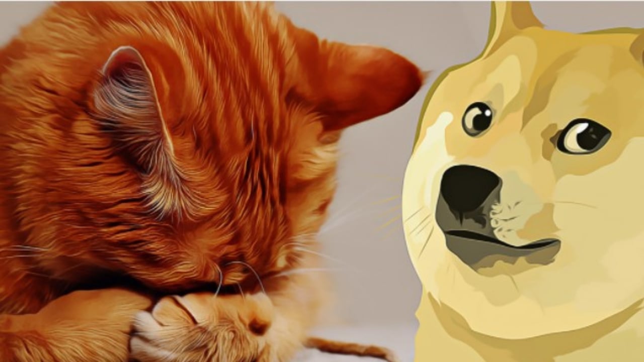 Dogecoin neden yükseliyor? 65 Dogecoin neden yükeliyor?