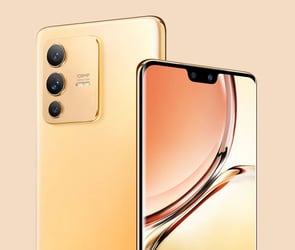 vivo 2