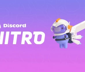 Discord nitro nedir?