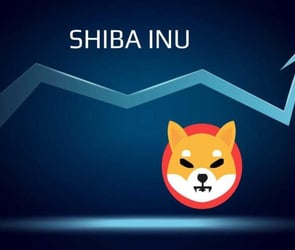 ShibaInu'deki (SHIB) Düşüş Ne Zaman Son Bulacak?