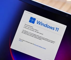 Windows 11 'Önerilen Eylemler' özelliğine kavuştu