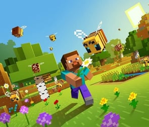 Minecraft server kurma adımları