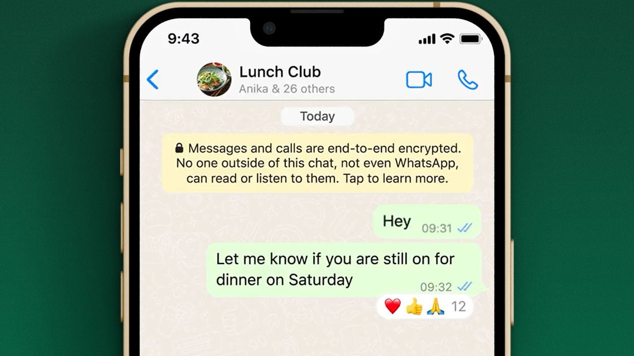 WhatsApp mesajlara herhangi bir emoji ile tepki verilebilecek 2 15