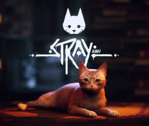Stray oyununu kendi kendinizle oynamak mümkün oluyor