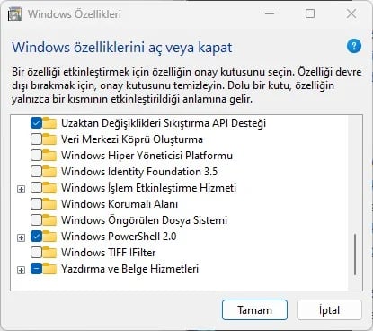 windows sandbox nasil etkinlestirilir