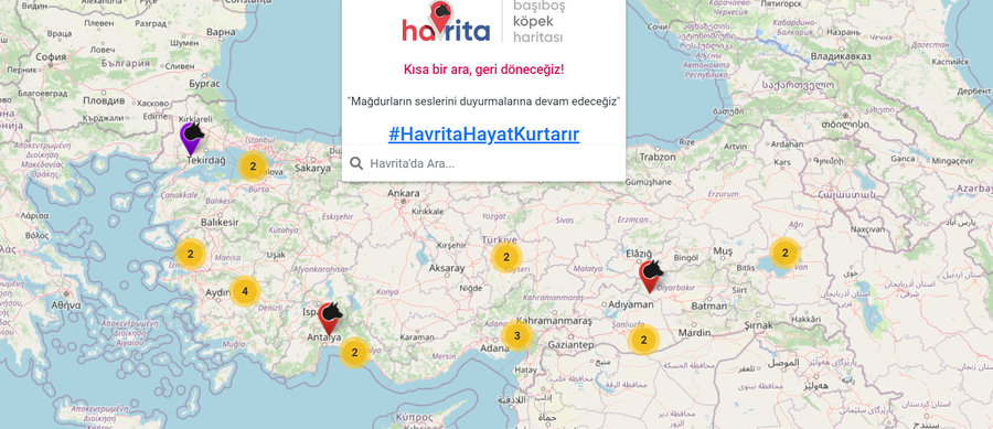 Başıboş köpek haritası Havrita nedir? Havrita neden tartışılıyor? 67 Havrita