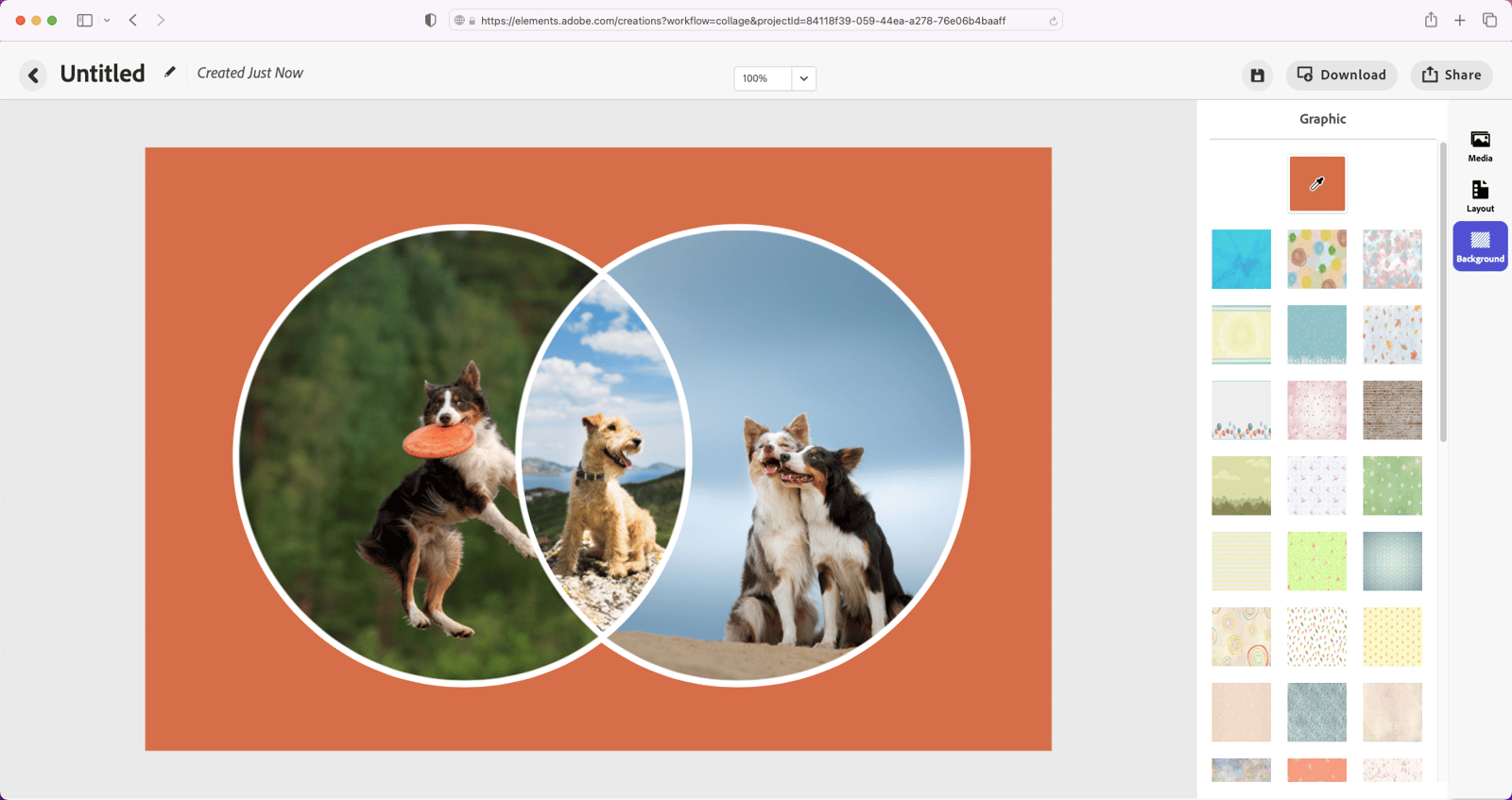 Adobe, AI destekli Photoshop ve Premiere Elements 2023'ü duyurdu 68