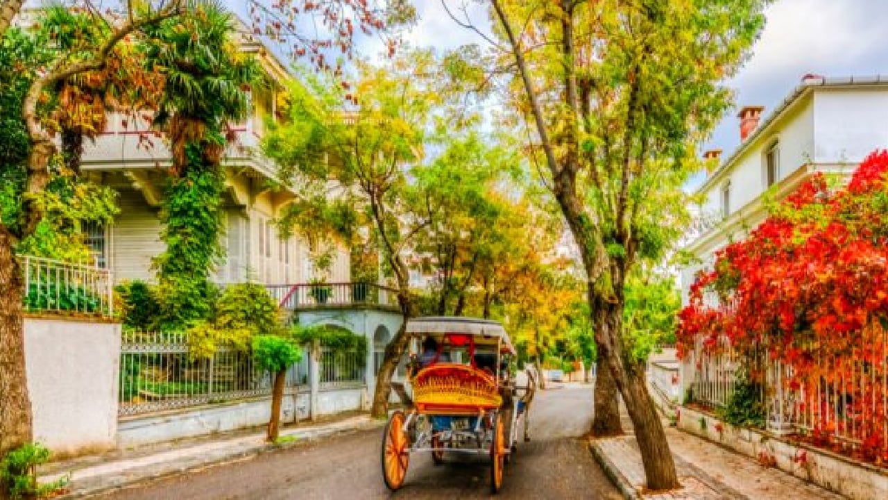 Büyükada Gezilecek Yerler 65 Büyükada Gezilecek Yerler