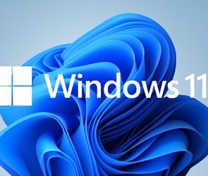 Windows 11