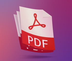 PDF'ler nasıl şifrelenir?